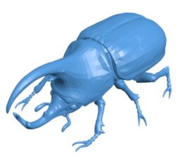 African beetle B0011511 3d model file for 3d printer