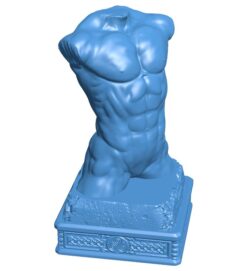 Bust men B0011522 3d model file for 3d printer