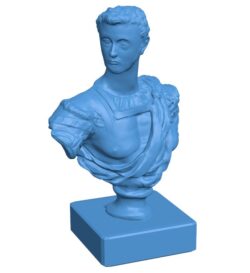 Bust of Cosimo De Medici, San Francisco B0011288 3d model file for 3d printer