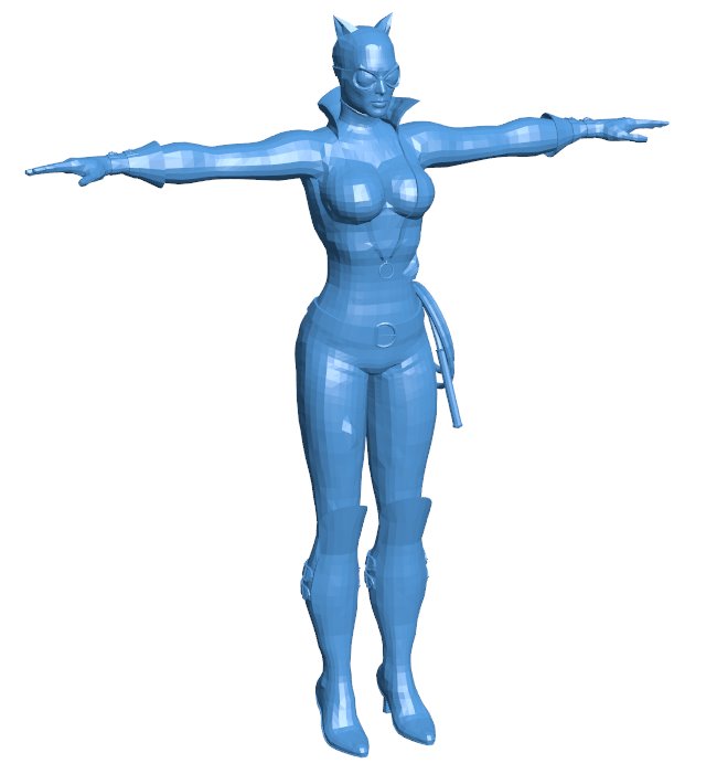 Catwoman figure B0011335 3d model file for 3d printer