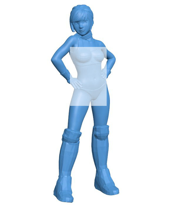 Elena Miyazawa B0011237 3d model file for 3d printer