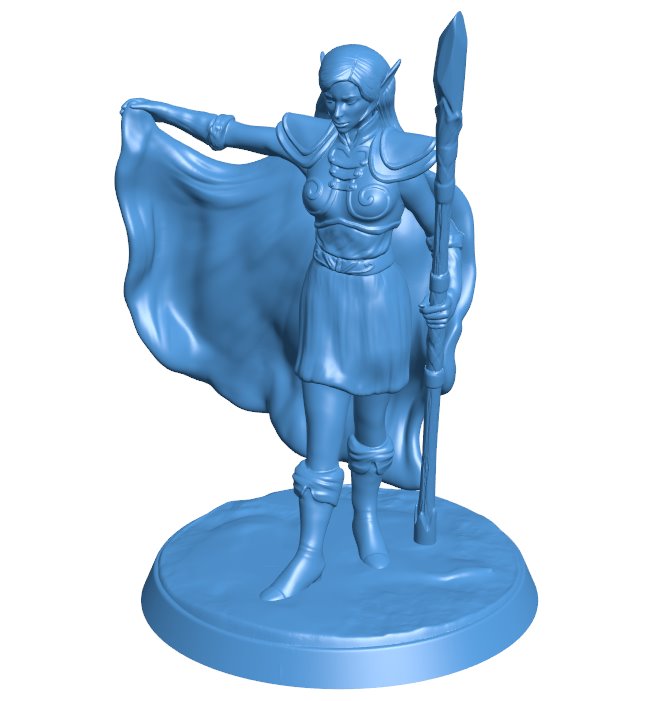 Elven Mage B0011493 3d model file for 3d printer