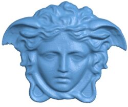 Medusa head T0010404 download free stl files 3d model for CNC wood carving
