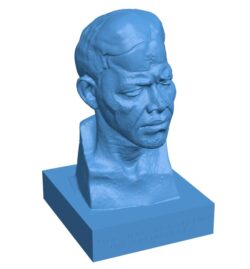 Nelson Mandela Bust at the Royal Festival Hall, London B0011392 3d model file for 3d printer