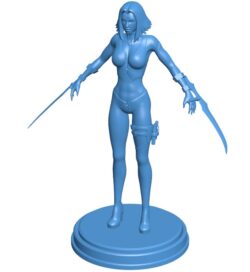 Female assassin and two swords B0011570 3d model file for 3d printer