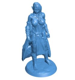Female nomadic warrior B0011588 3d model file for 3d printer