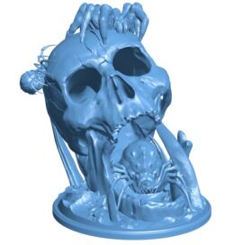 Skull-shaped spider nest B0011921 3d model file for 3d printer